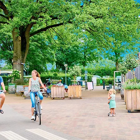 キャンプ場 Het Wieskamp *