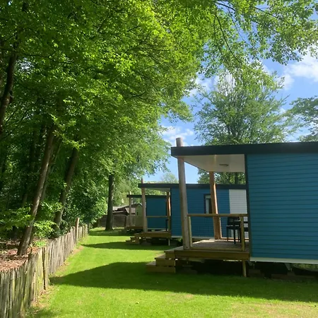 Campsite Camping Het Wieskamp *