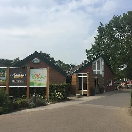 Camping Het Wieskamp Campsite Henxel