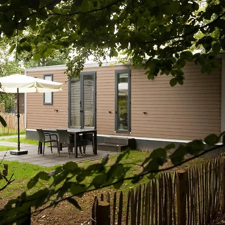 Campsite Camping Het Wieskamp